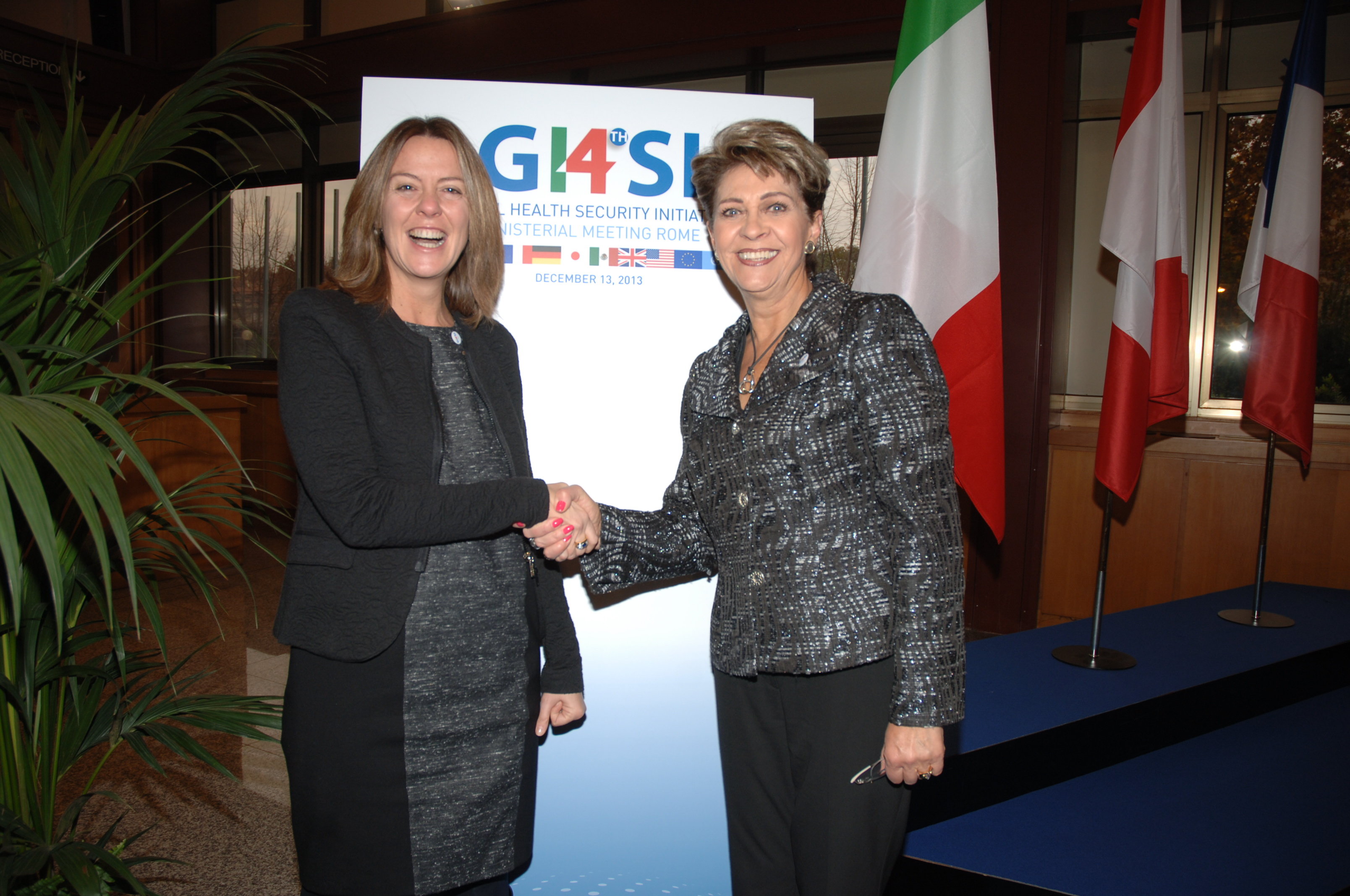 Iniciativa Global de Seguridad Sanitaria Iniciativa Global de Seguridad Sanitaria