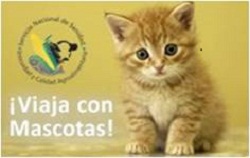 MASCOTAS