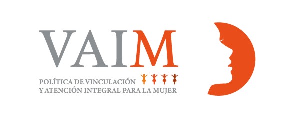 Logo VAIM