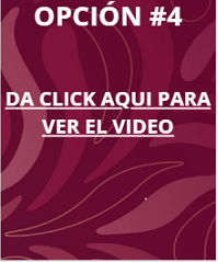 Opción 3